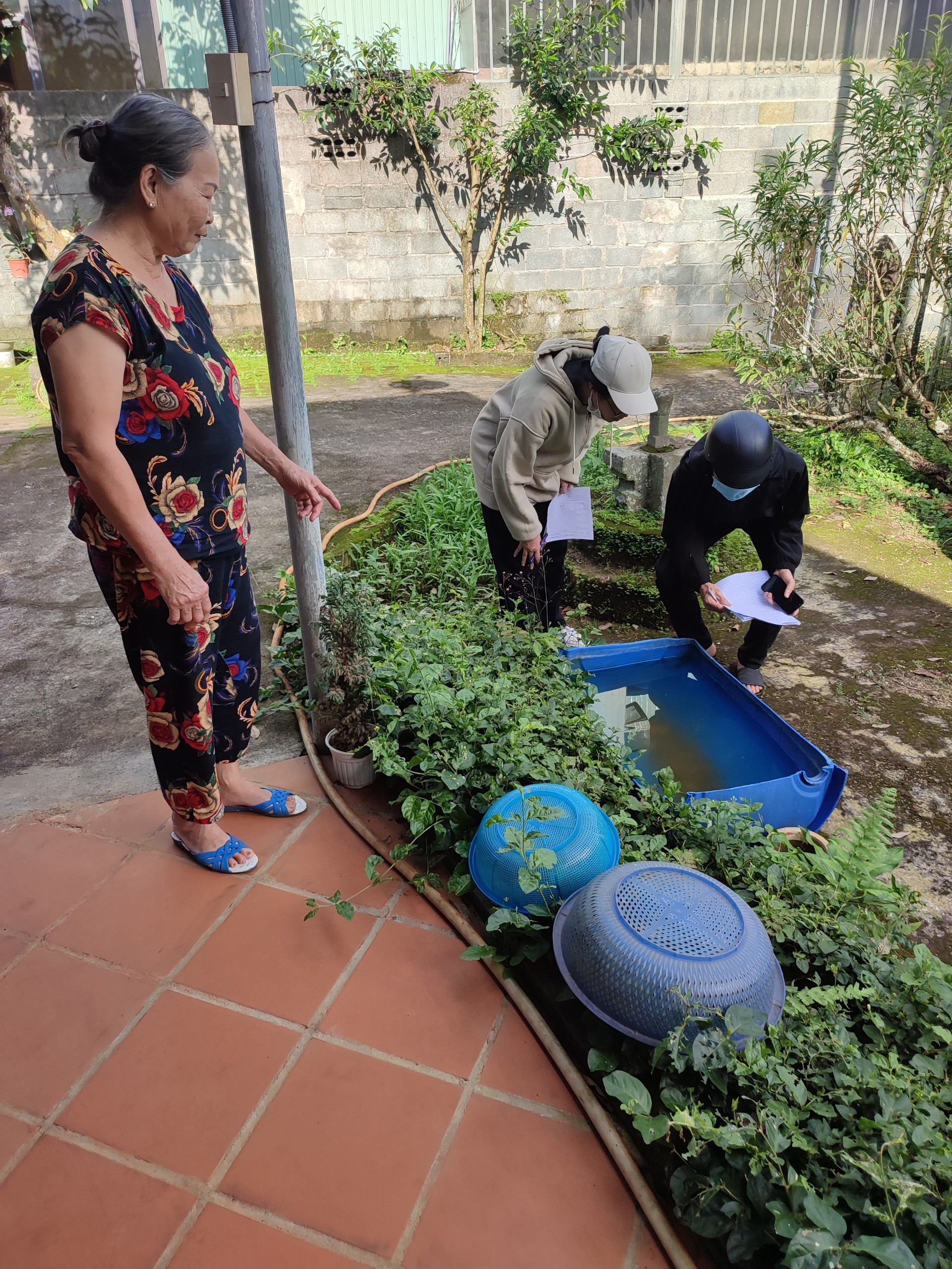 Phòng, chống dịch sốt xuất huyết trên địa bàn thành phố Bảo Lộc